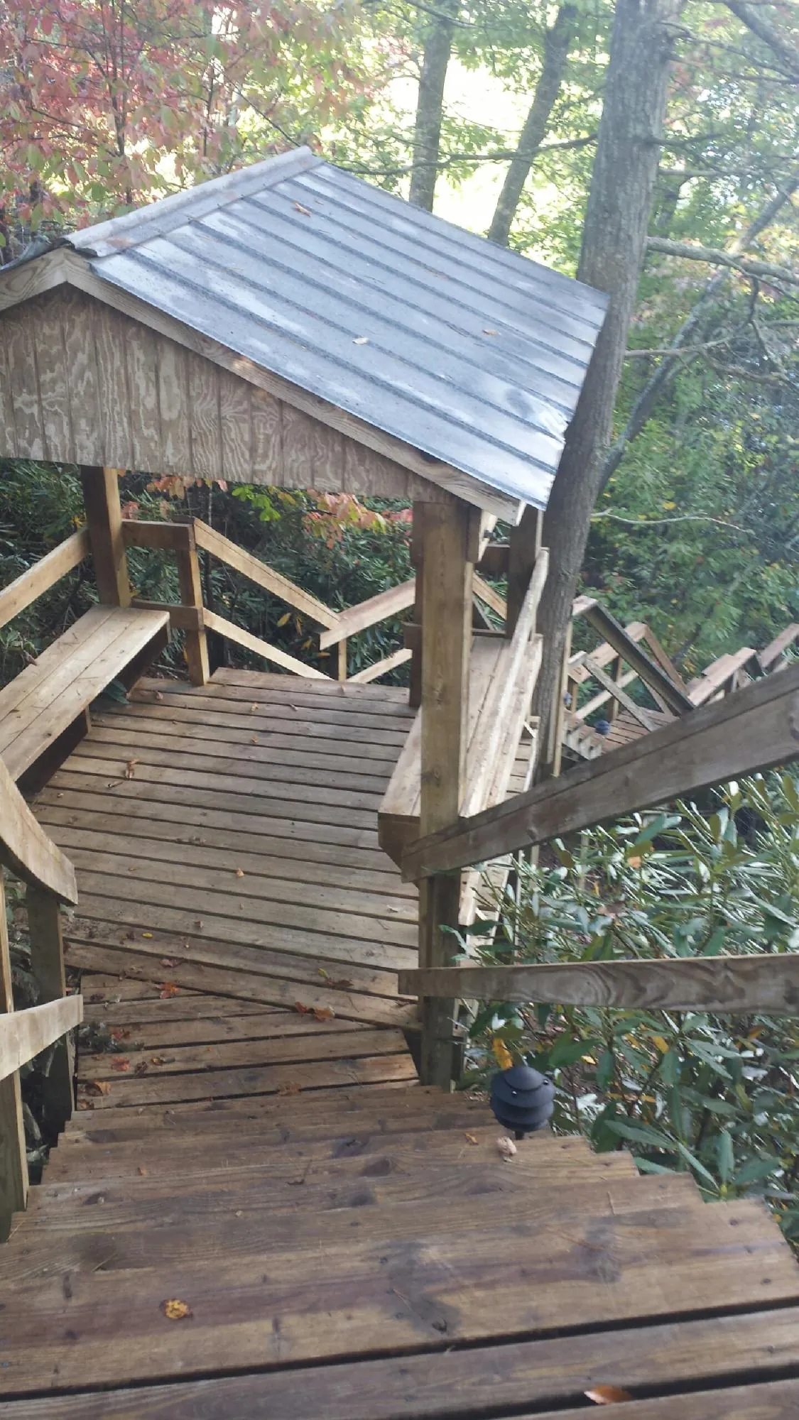 Metal roofed shelter over wooden steps on a wooded walkway — Skylight Repair & Installation work by our crew in Hysham