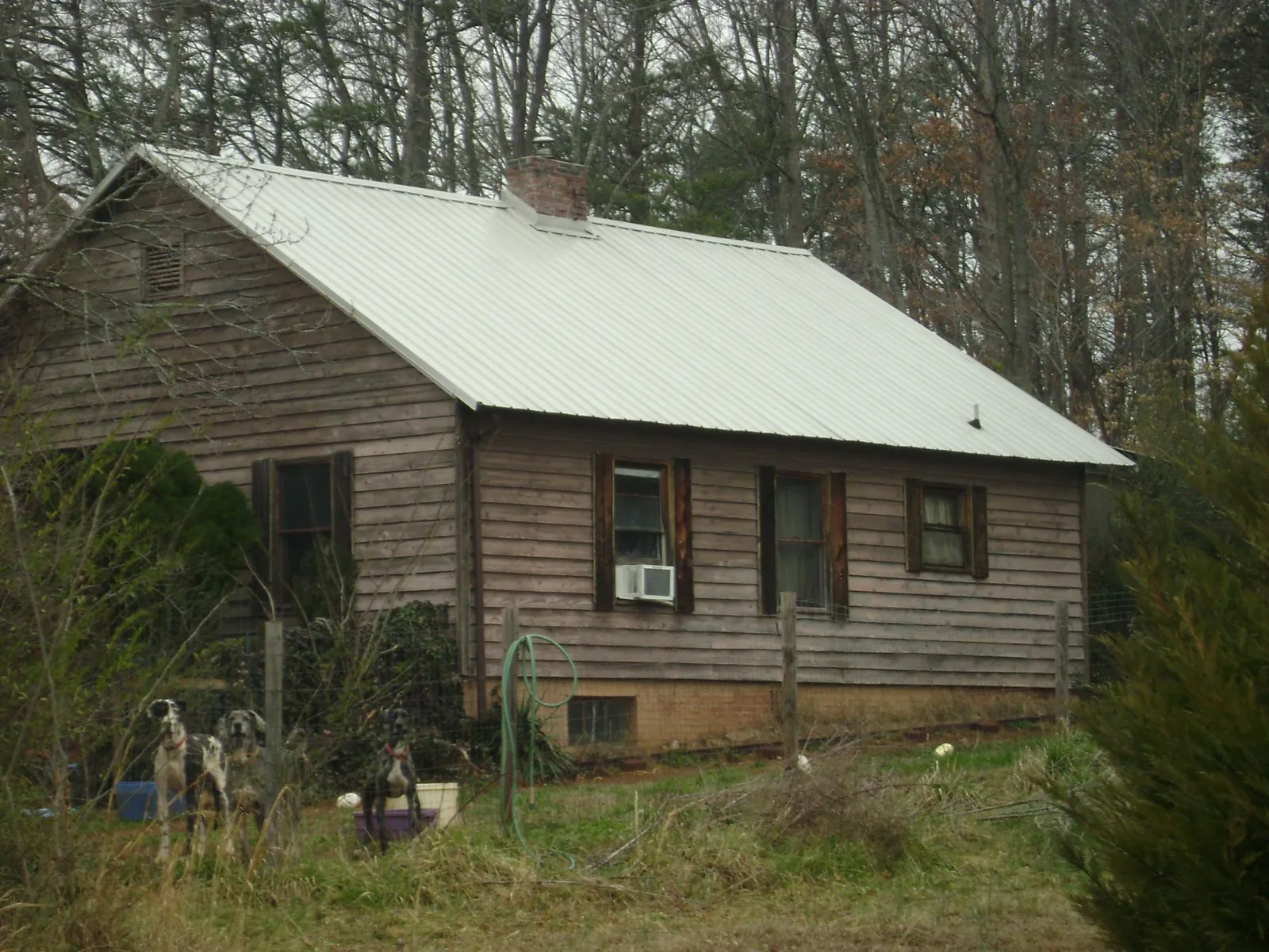 White metal roof on an old wood sided farmhouse, from a Metal Roof Installation job in Hysham